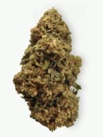 Amnesia Haze
