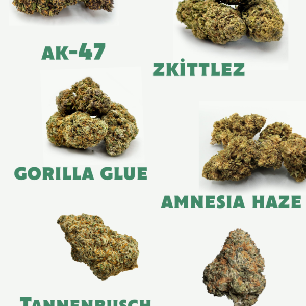 THC Probier Set