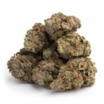 Purple Haze – Bild 3
