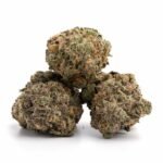 Purple Haze – Bild 2