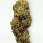 Gelato