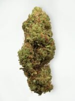 Gelato