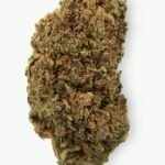 Lemon Skunk