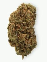 Lemon Skunk