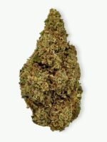 Mango Haze