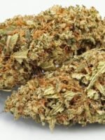 Super Skunk – Bild 2