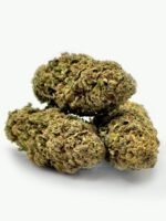 Zkittlez – Bild 3
